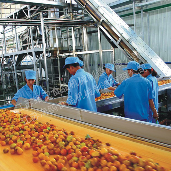 Apricot puree production site
